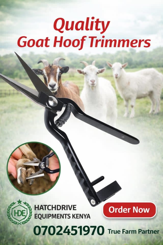 Hoof trimmer