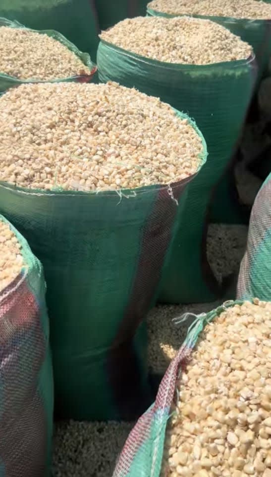 Dry maize 90kg