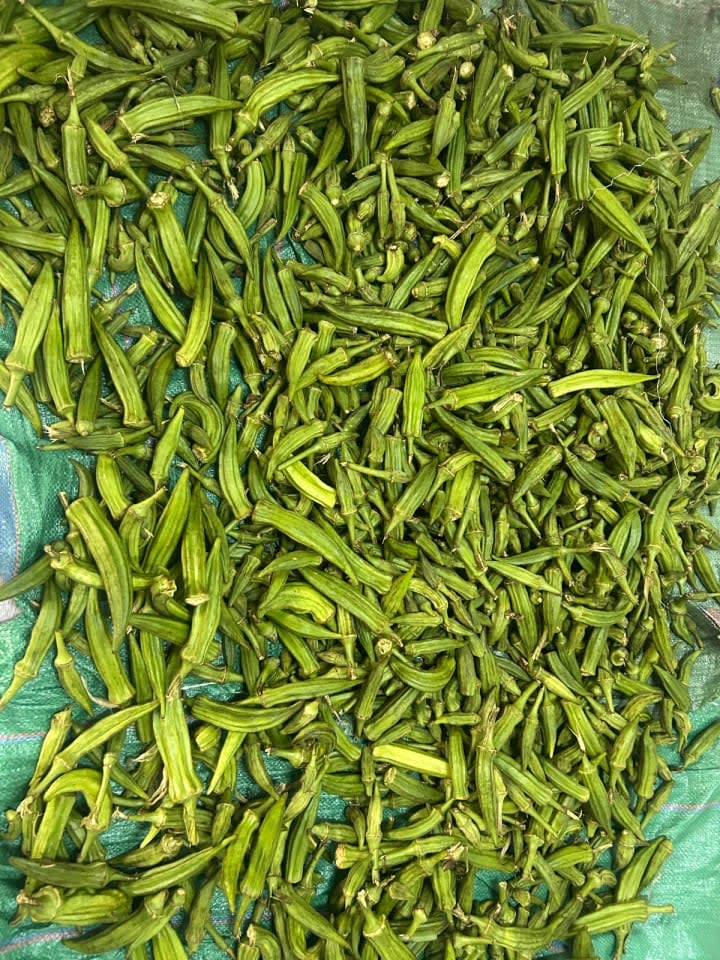 Okra