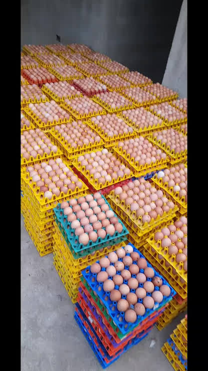 Eggs