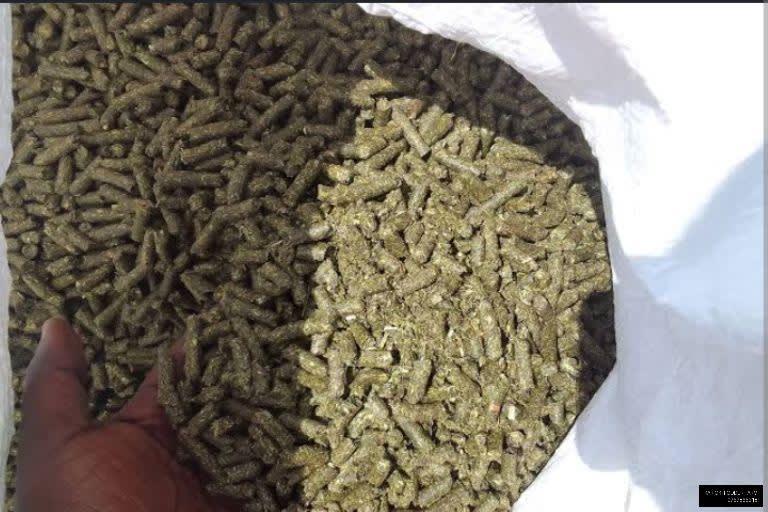 Fodder feeds