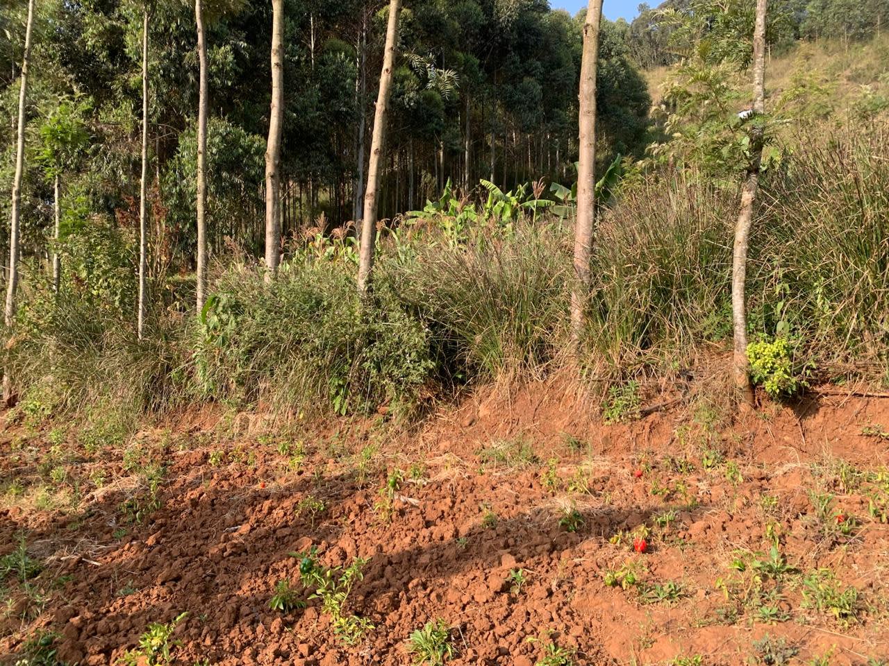 Soil and Water Conservation