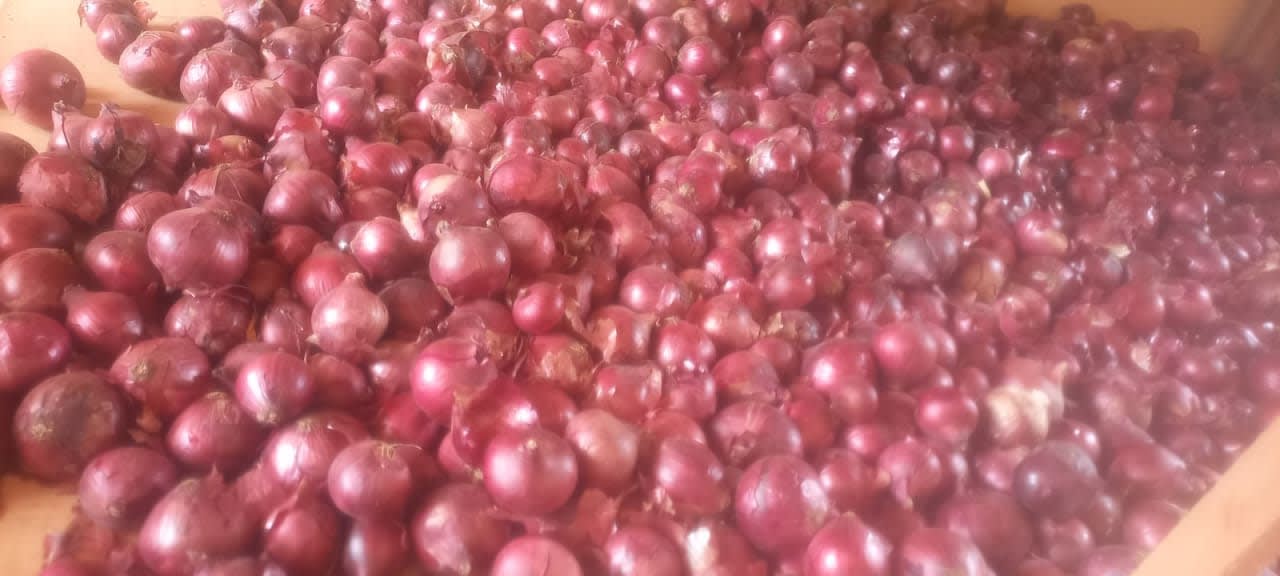 Onions