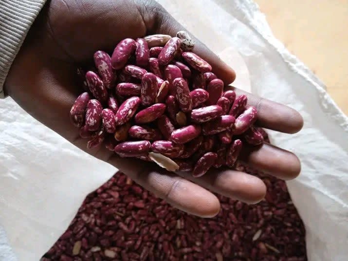 Dry beans