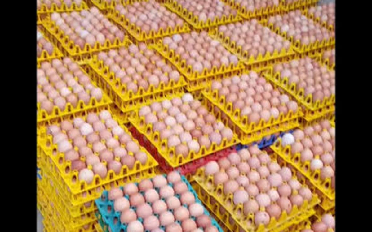 Eggs