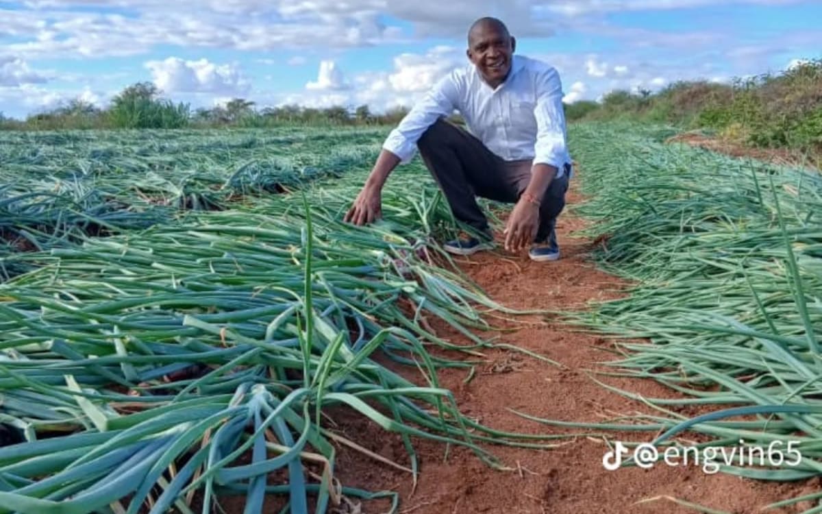 Onions