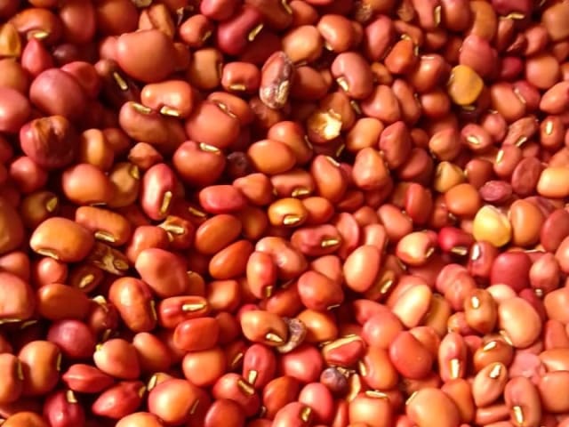 Red kunde