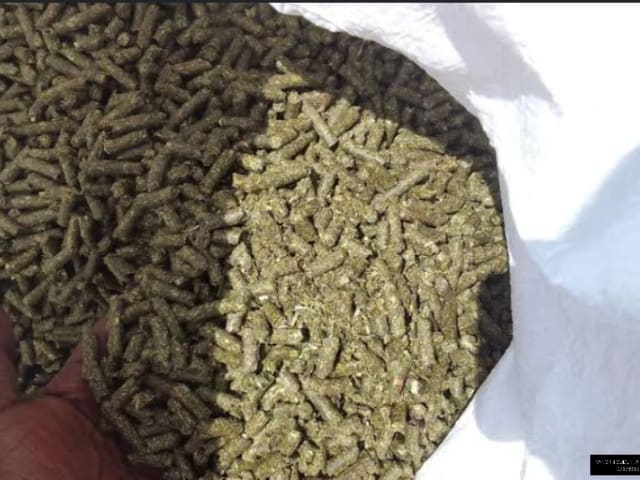 Fodder feeds