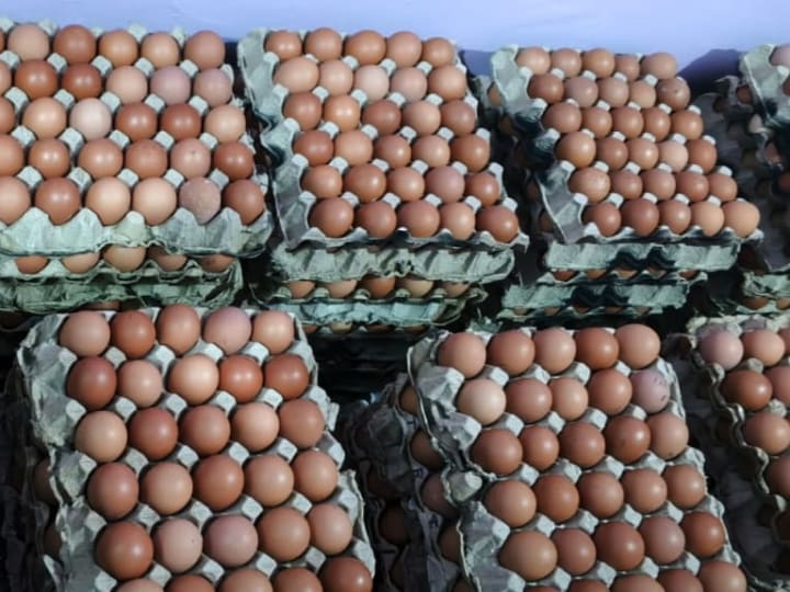 Organic farm fresh eggs