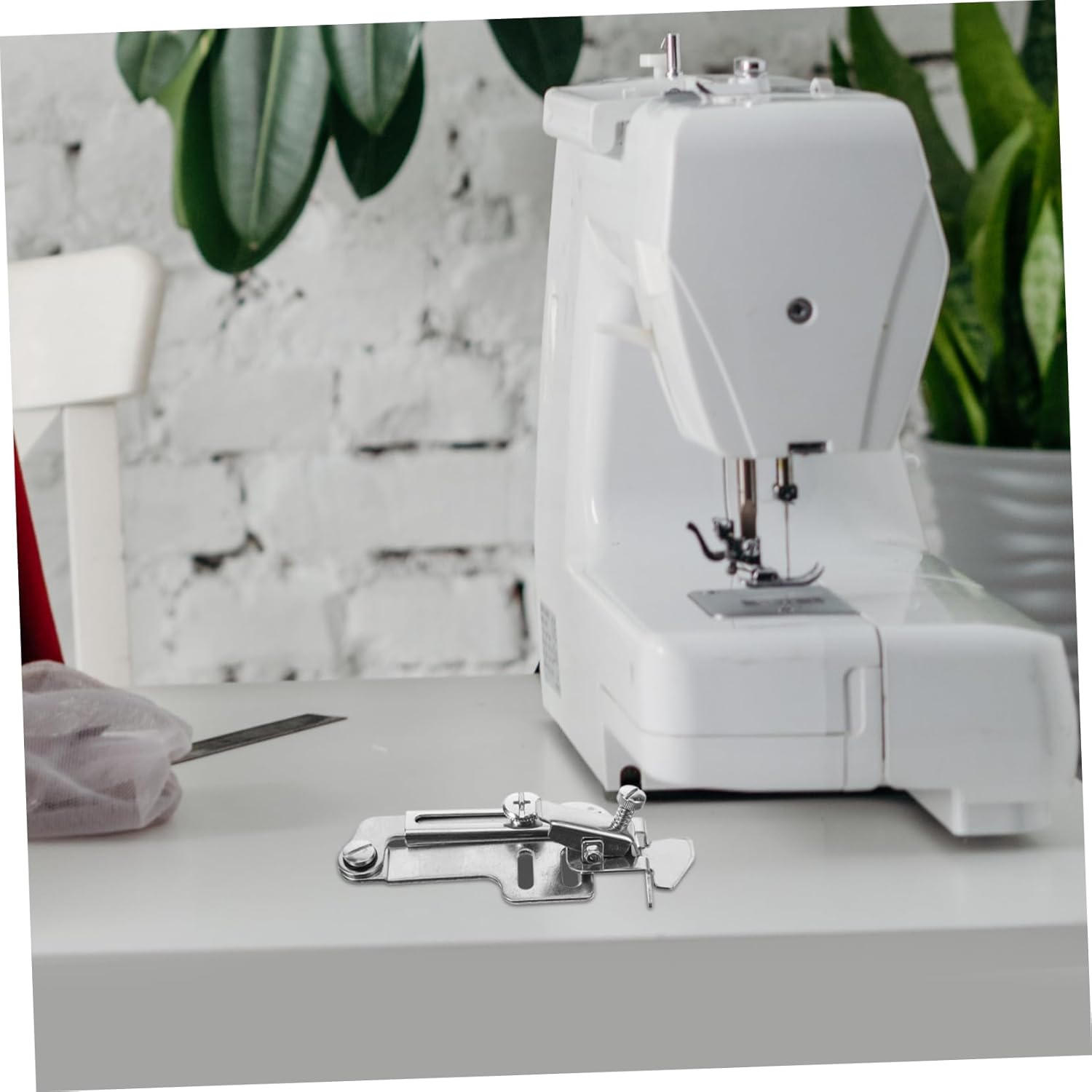 مسطرة علام وتني