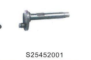 s25452001