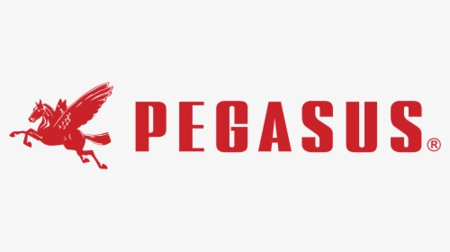 PEGASUS