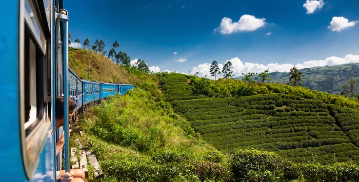 6 Days Cultural and Wildlife Tour
