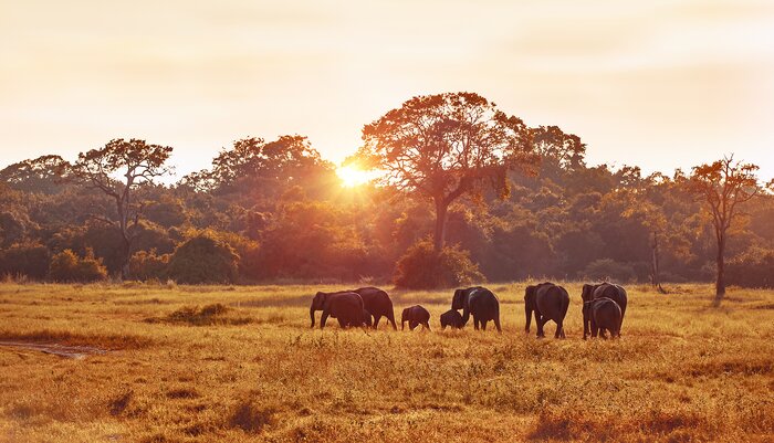 7 Days Beach and Safari Adventure