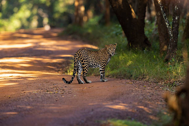 13 Days North and East Sri Lanka Discovery