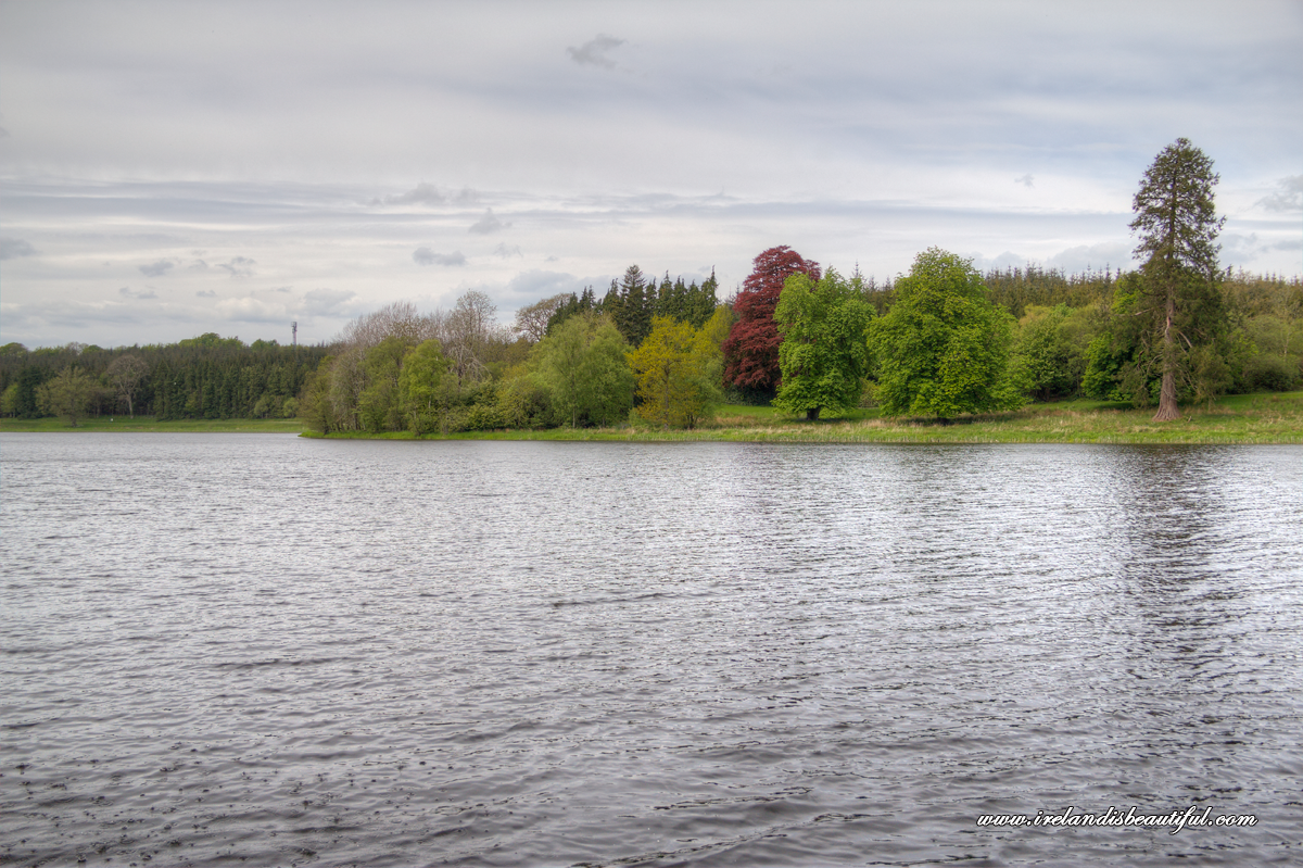 Bellamont Forest