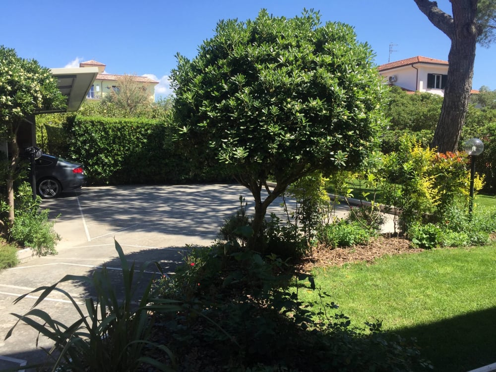 Giannutri, foto 13
