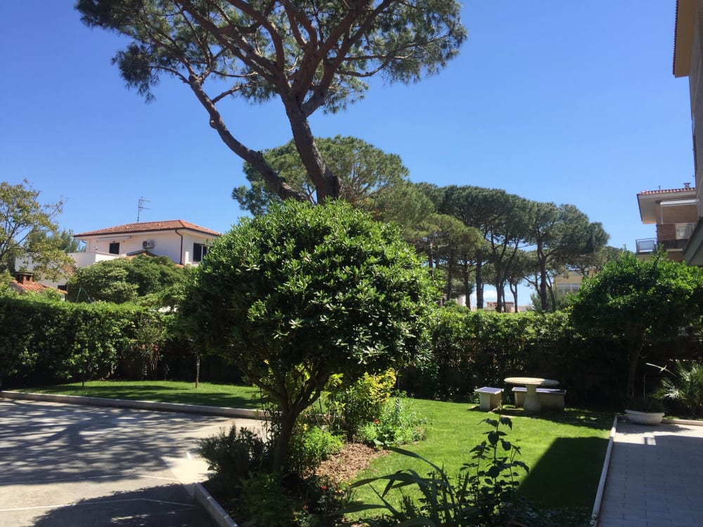 Giannutri, foto 14