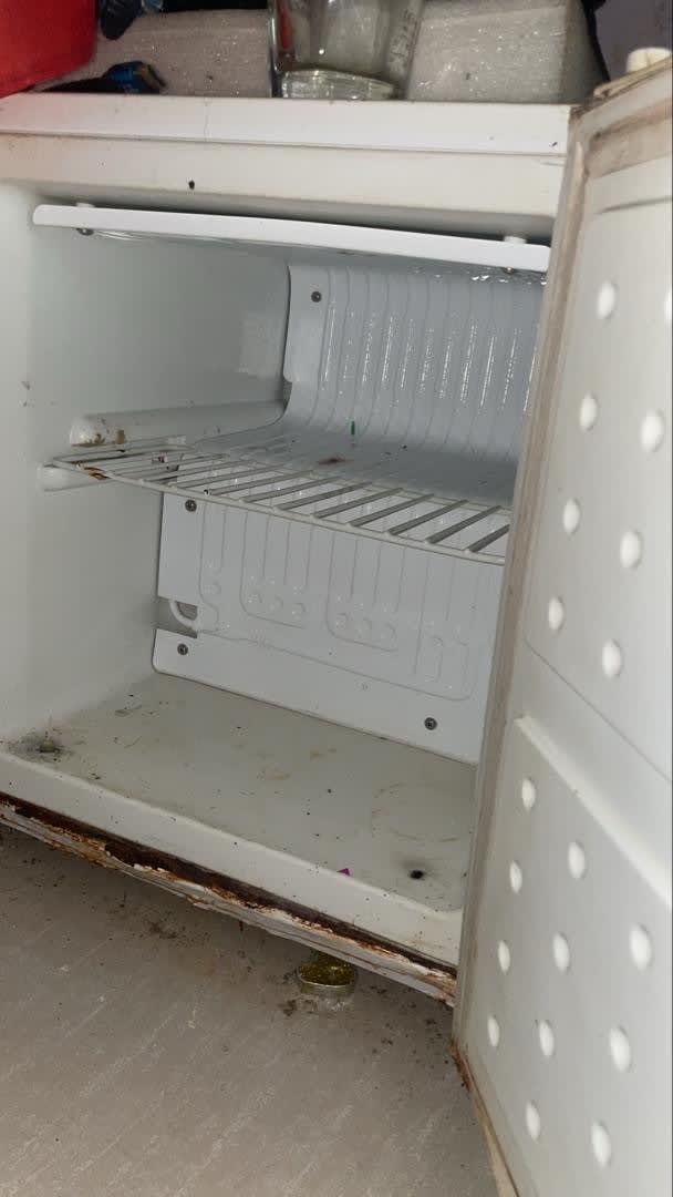 Frigo