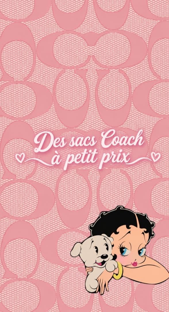Sacs coach — photo 1