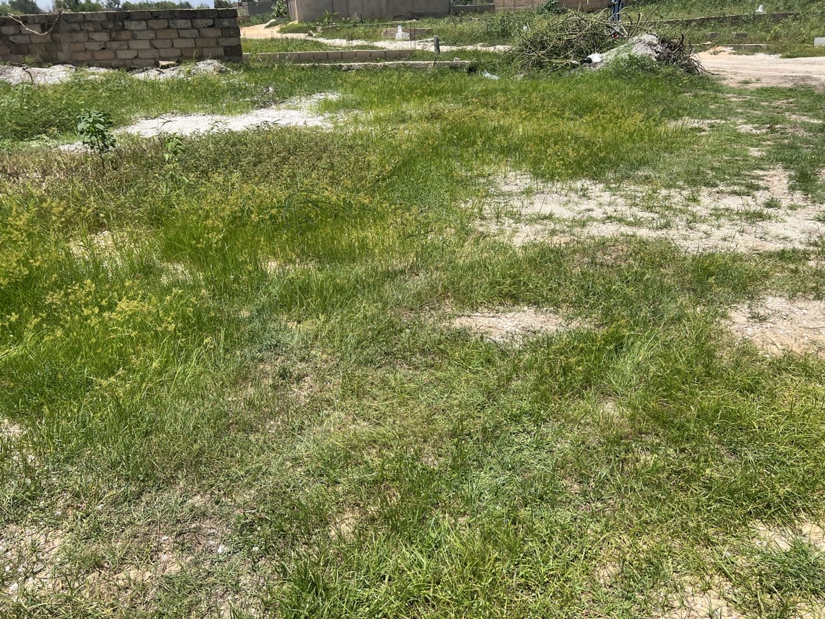 Terrain — photo 1