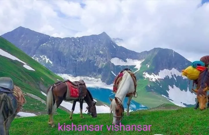 Nafran Valley Trek