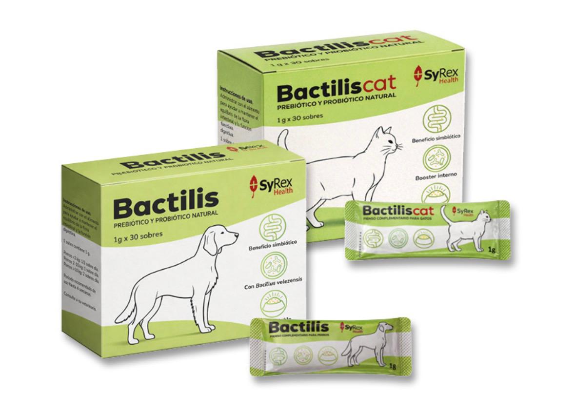 Eje intestinal–inmunitario