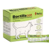 Bactilis cat
