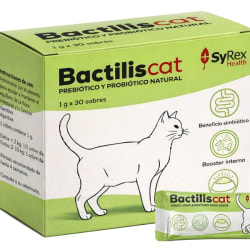 Bactilis cat
