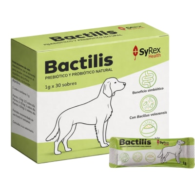 Bactilis