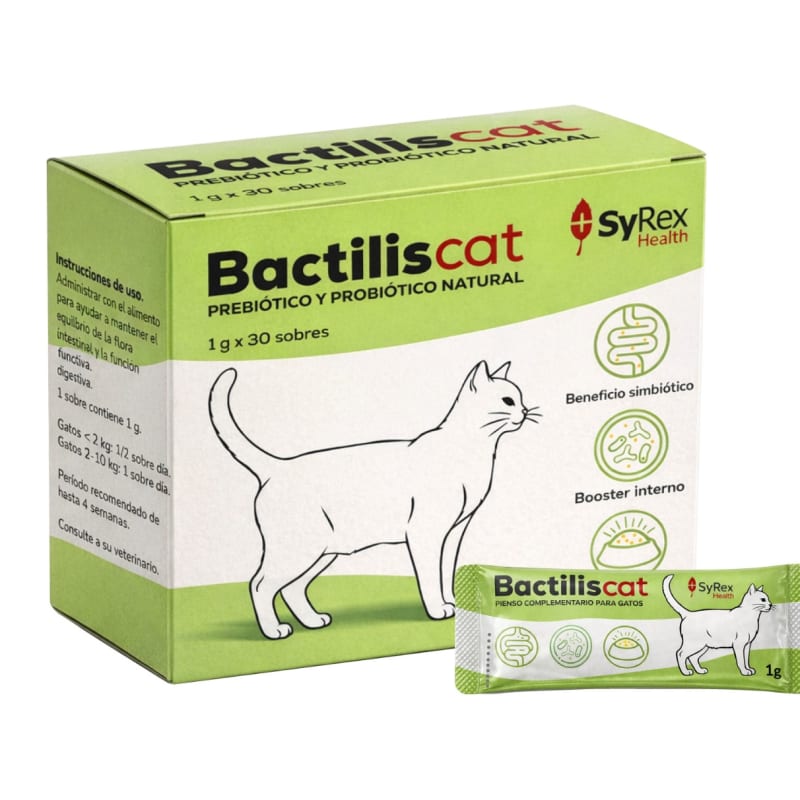 Bactilis cat