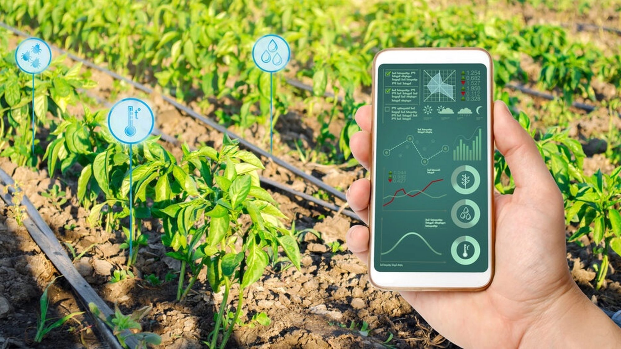 smart irrigation controller product