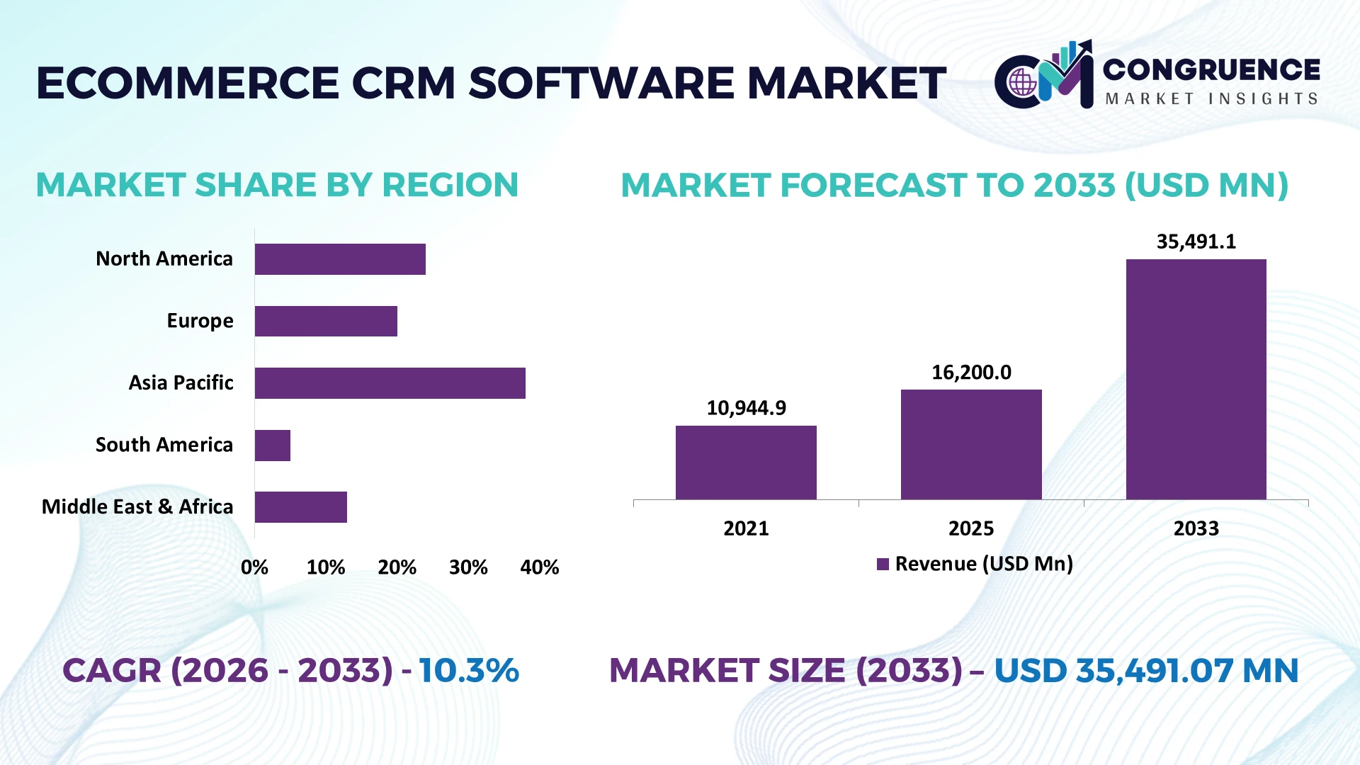 Ecommerce CRM Software Market