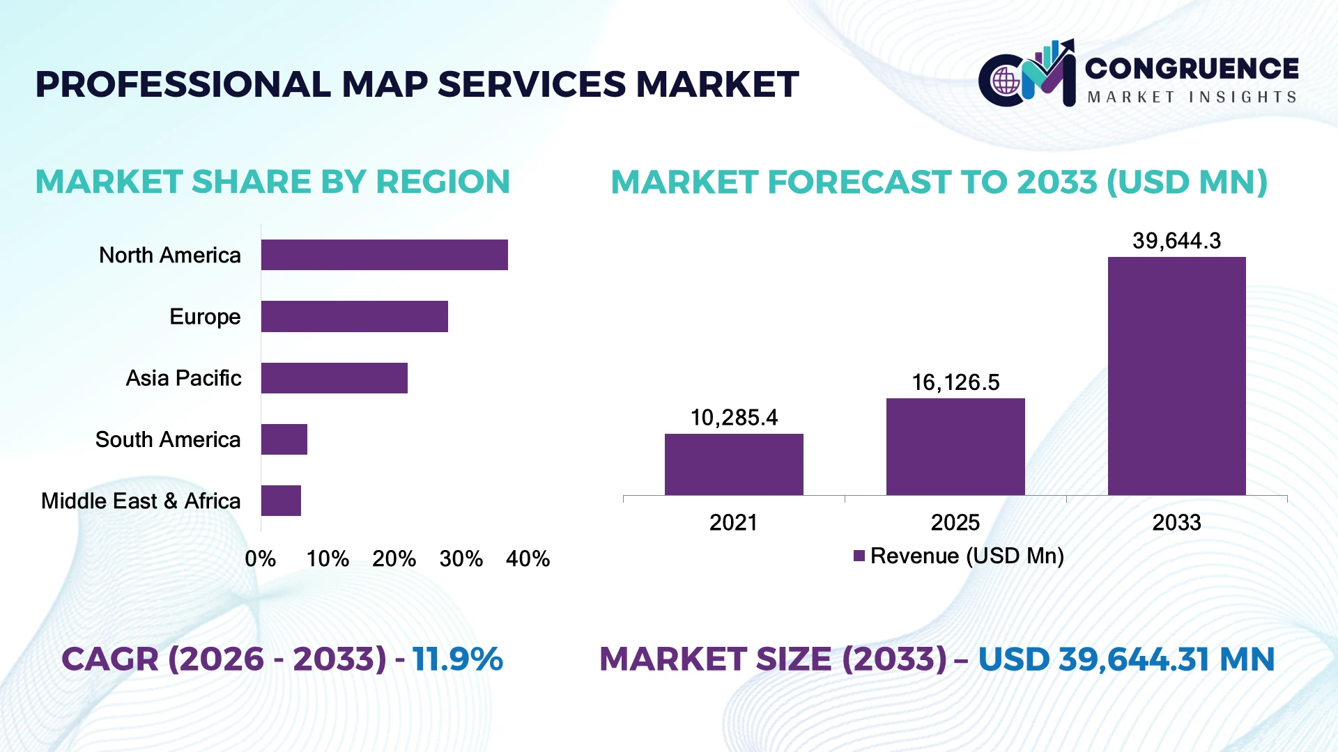 Professional Map Services Market