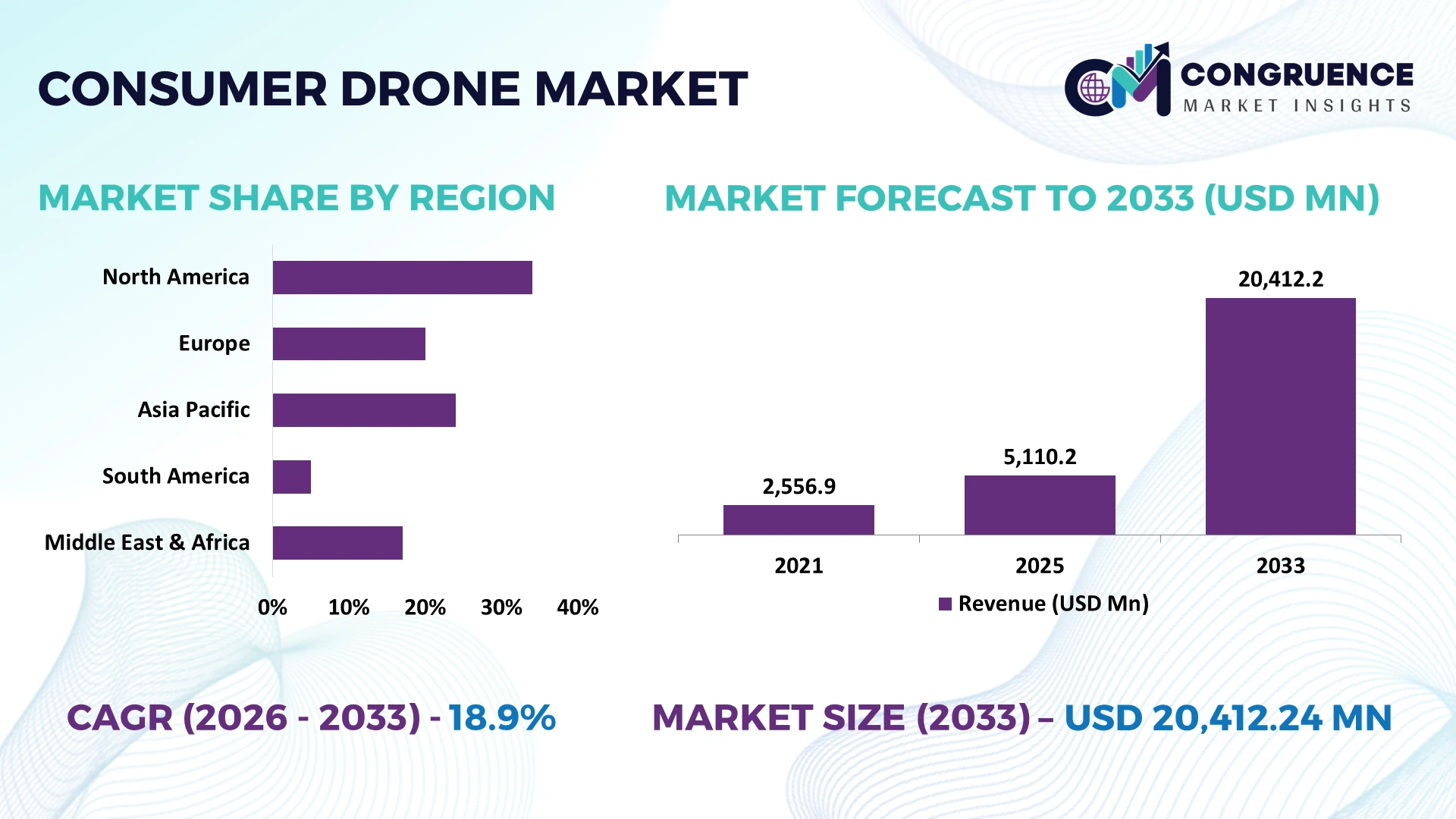 Consumer Drone Market