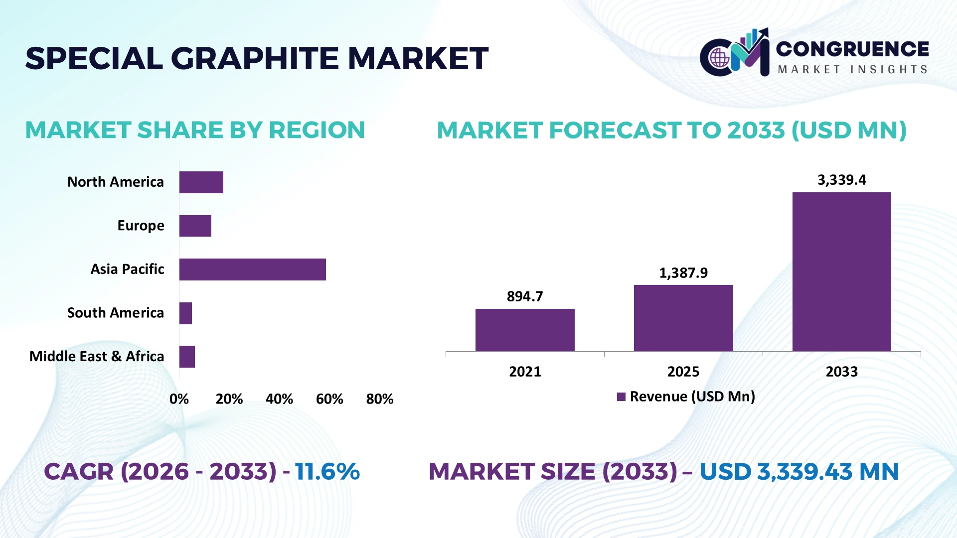 Special Graphite Market