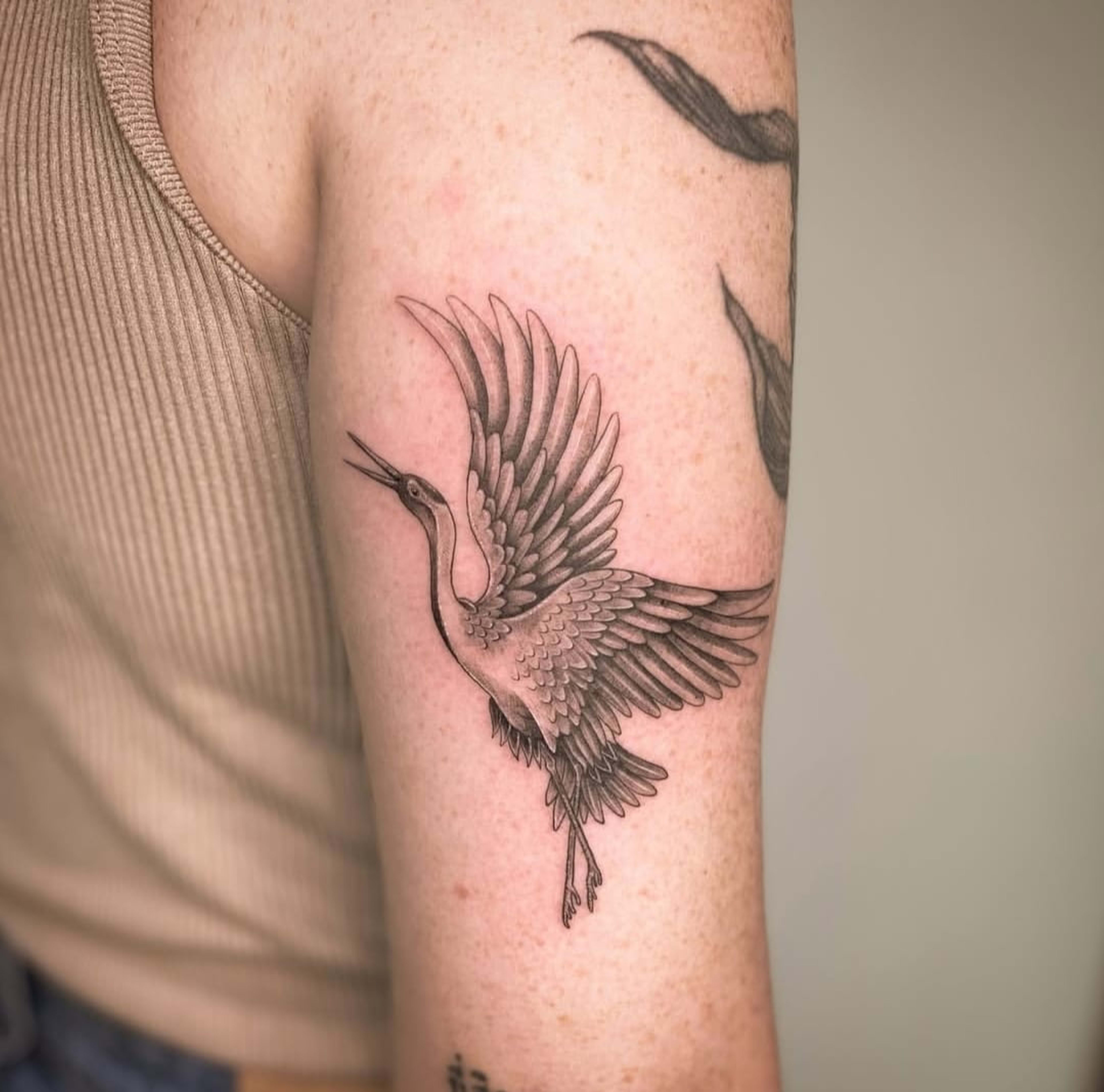 PUNKKEY portfolio 18