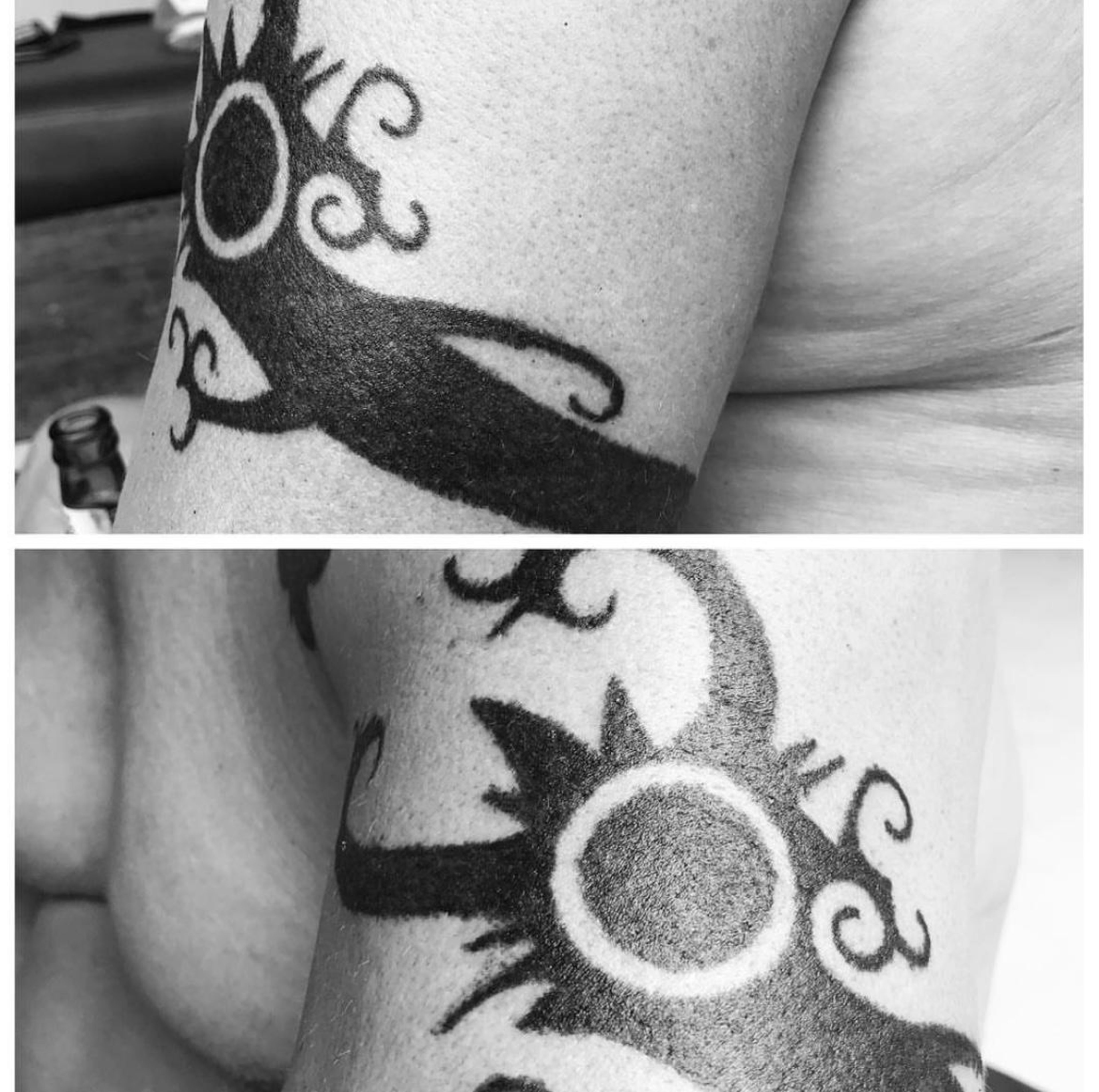 D-HORNBILL portfolio 3