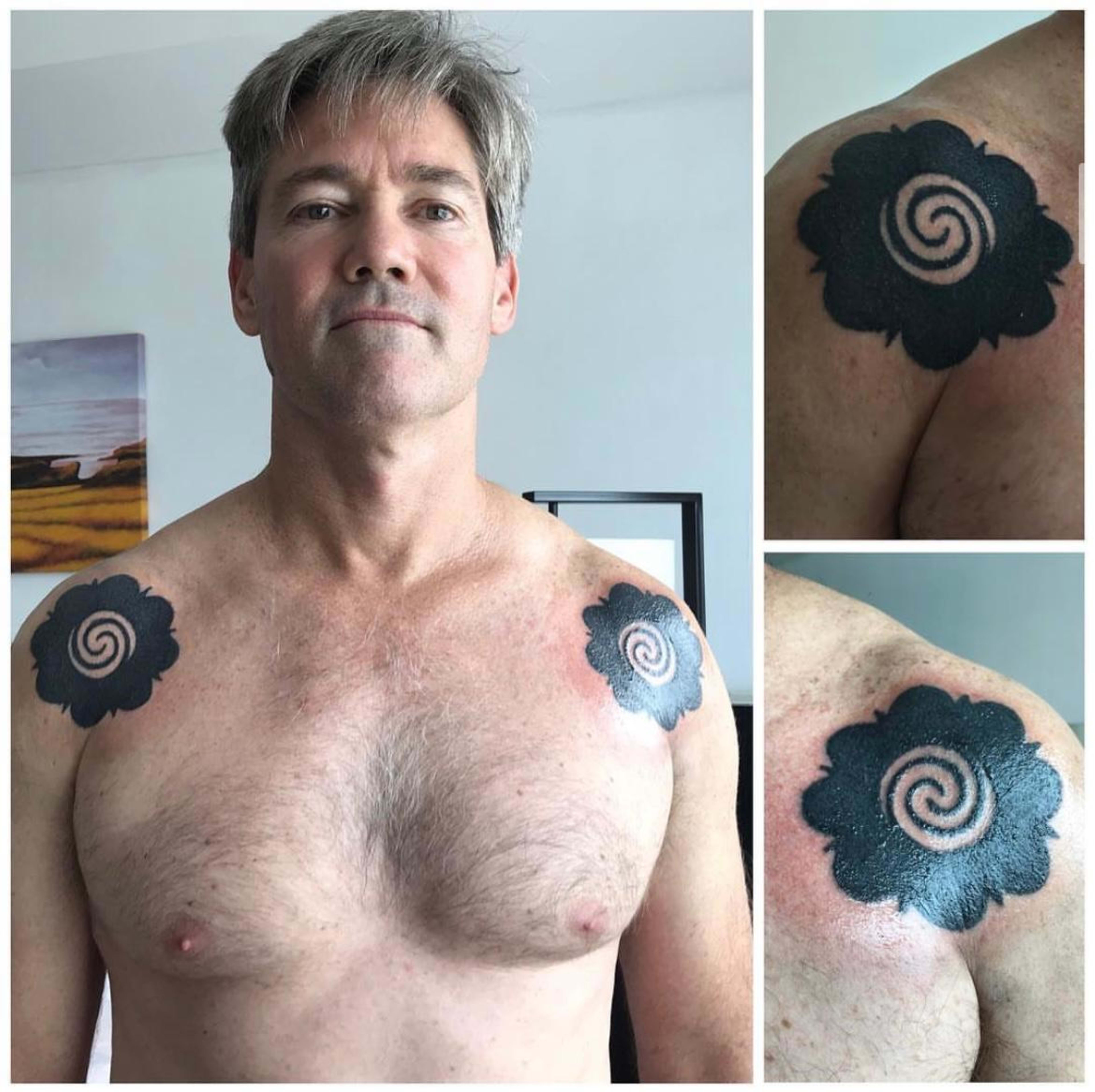 D-HORNBILL portfolio 7