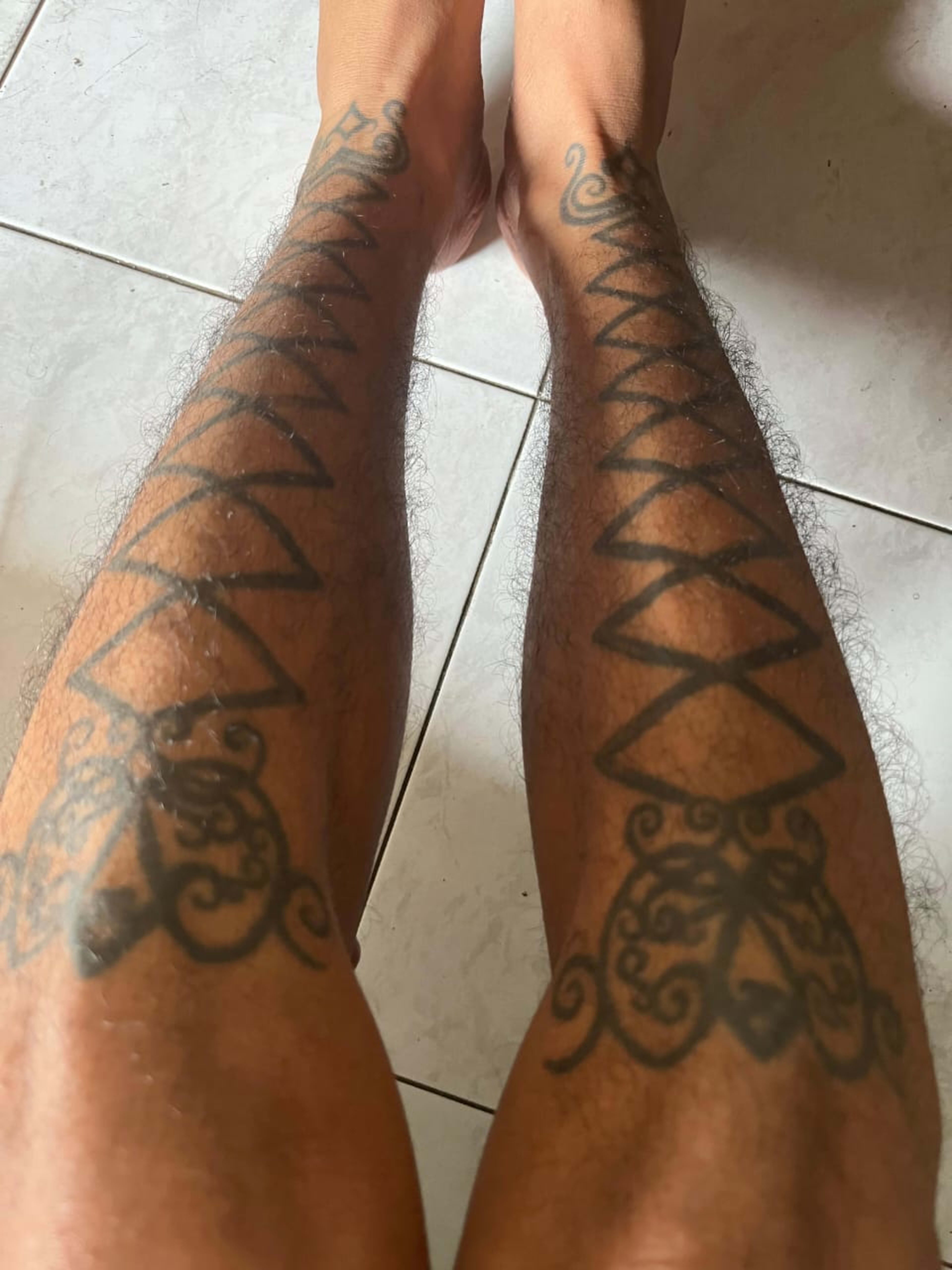 D-HORNBILL portfolio 9