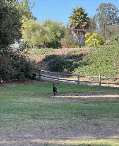 Tabano Hollow Open Space