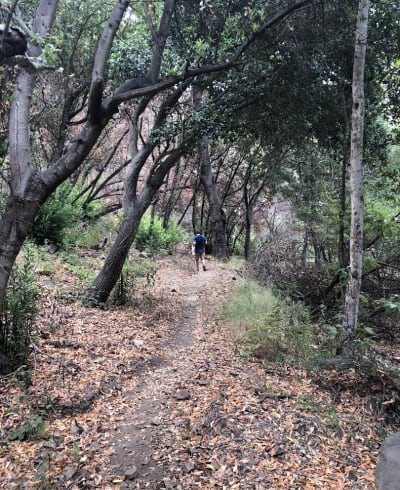 San Ysidro Trailhead