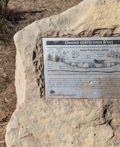 Camino Corto Open Space