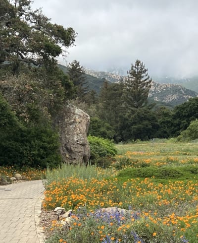 Santa Barbara Botanic Garden