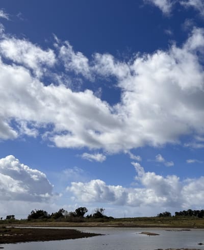 Wells-Elings Marsh Trail