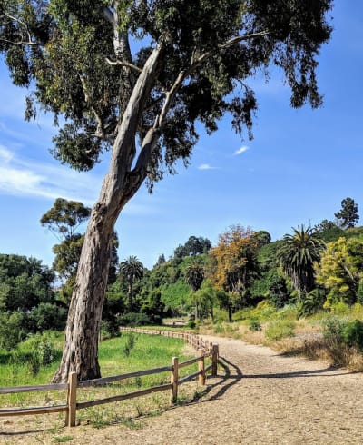 Arroyo Burro Open Space