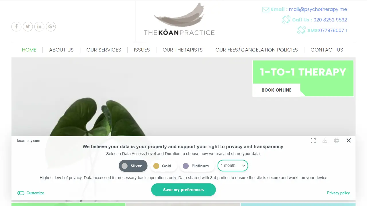 The Koan Practice