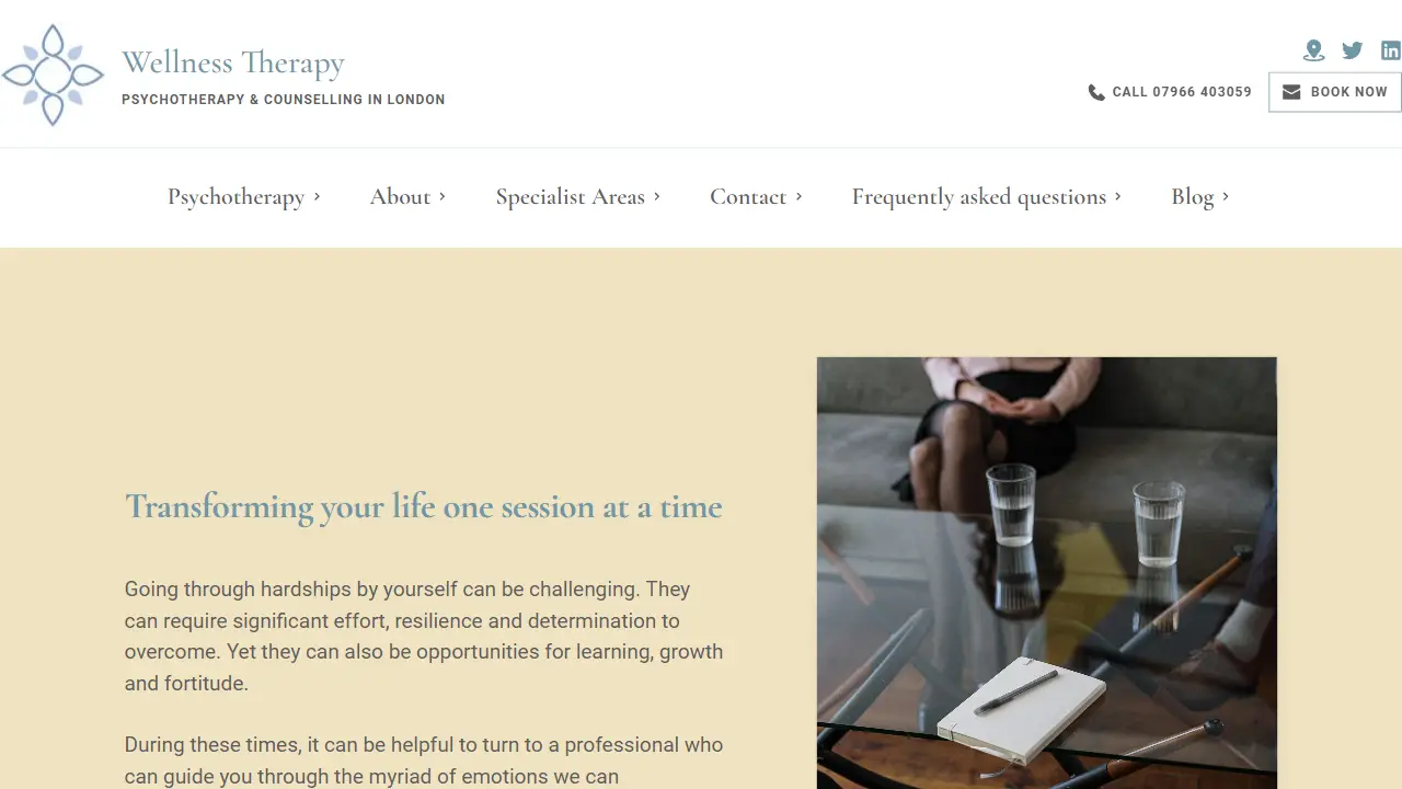Wellness Therapy