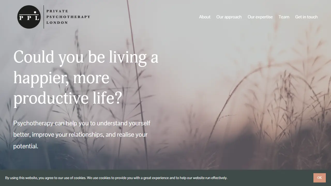 Private Psychotherapy London