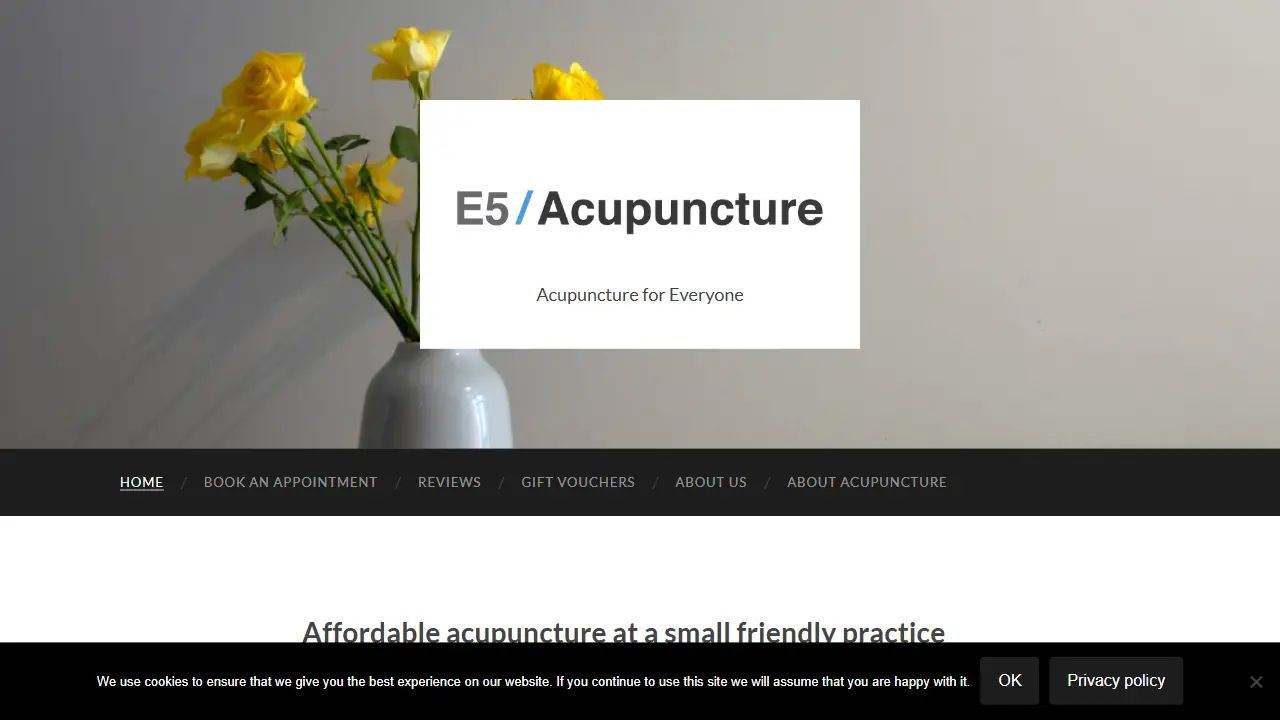 E5 Acupuncture